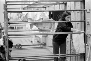 Glasgow Steamies. General scenes of women doing the laundry in a steamies in the Gorbals