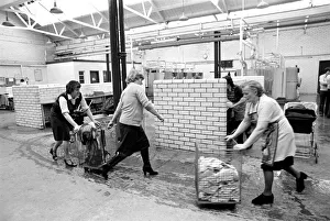 Glasgow Steamies. General scenes of women doing the laundry in a steamies in the Gorbals