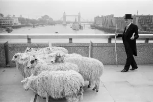 00804 Prints: GLC Chairman Harold Mote, was recently granted Freedom of the City of London
