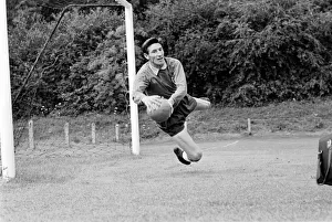 Goalkeeper for Tottenham Hotspur practicing his saves during training