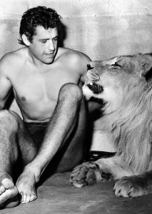 Core200 Prints: Gordon Scott actor who stars as Tarzan with Numa the Lion at Elstree Studios