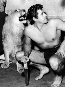Gordon Scott actor who stars as Tarzan with Numa the Lion at Elstree Studios