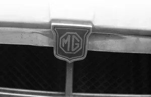 Logo Prints: The Government has announced it will help the ailing British Leyland car makers