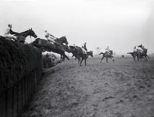 Steeplechase Prints: The Grand National 1949. Winner Russian hero'leads over Bechers Brook