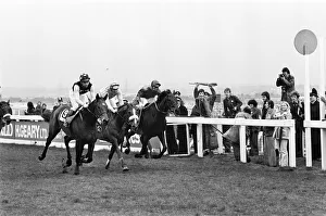 Grand National 1978, LUCIUS No9 and Bob Davies wins from SEBASTIAN V No23 R Lamb