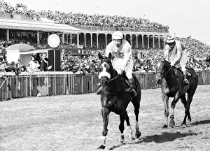 Horse Prints: The Grand National 1979. Rubstic and Maurice Barnes win the National