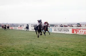 Racehorse Prints: The Grand National Aintree March 1974 Red Rum and jockey Brian Fletcher win