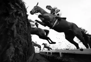 Dramatic Prints: Grand National, April 1987 Horses jumping the Chair at Aintree