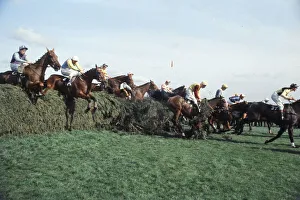 Steeplechase Prints: Grand National Horserace held at Aintree, Liverpool. Eventual winner Red Alligator