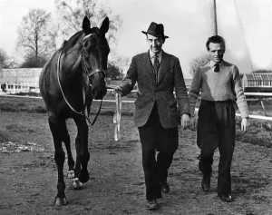 Grand National runner The Crofter'pictured at his training quarters