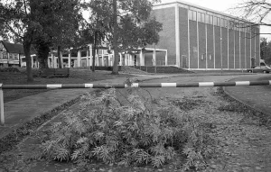 The Great Storm of 1987 - The night of the 15th-16th October - Stories from the Surrey