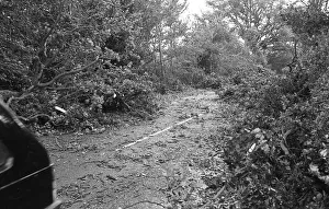 The Great Storm of 1987 - The night of the 15th-16th October - Stories from the Surrey