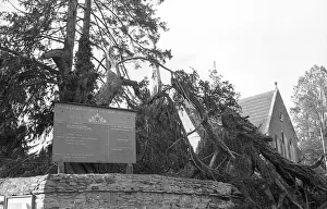 The Great Storm of 1987 - The night of the 15th-16th October - Stories from the Surrey