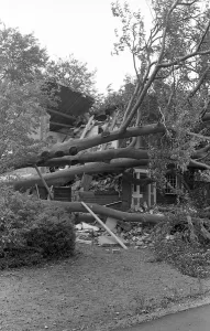 The Great Storm of 1987 - The night of the 15th-16th October - Stories from the Surrey