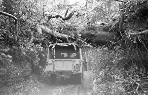 The Great Storm of 1987 - The night of the 15th-16th October - Stories from the Surrey
