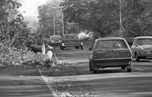 The Great Storm of 1987 - The night of the 15th-16th October - Stories from the Surrey