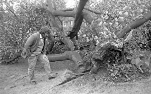 The Great Storm of 1987 - The night of the 15th-16th October - Stories from the Surrey