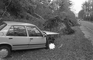 The Great Storm of 1987 - The night of the 15th-16th October - Stories from the Surrey