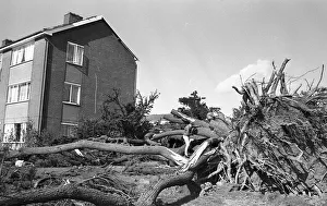 The Great Storm of 1987 - The night of the 15th-16th October - Stories from the Surrey