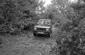 The Great Storm of 1987 - The night of the 15th-16th October - Stories from the Surrey