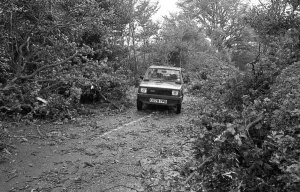 The Great Storm of 1987 - The night of the 15th-16th October - Stories from the Surrey