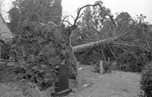 The Great Storm of 1987 - The night of the 15th-16th October - Stories from the Surrey