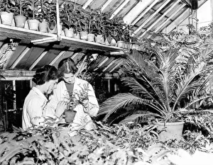 Green fingers - Maureen Thompson and Pamela Murgetyroyd study chromosomes of tropical