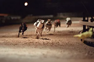Greyhound Racing at Cleveland Park Stadium in Middlesbrough. 5th April 1994