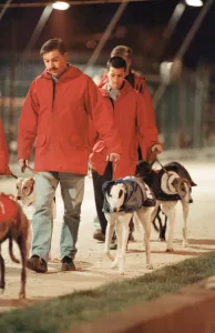 00707 Prints: Greyhound Racing at Cleveland Park Stadium in Middlesbrough. 5th April 1994