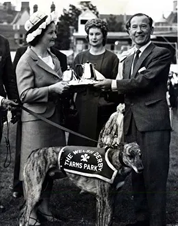 Greyhound racing picture shows: Summerhill Fancy winner of The Welsh Greyhound Derby