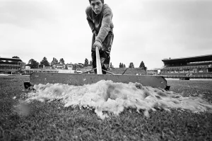 Ground Staff Prints: Groundsman Ian Guys tries to clear the water from the pitch at Edgbaston ahead of