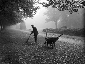 00617 Prints: One of the groundsmen at the War Memorial Park, Coventry sweeps up the fallen autumn