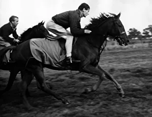 00101 Prints: Group Captain Peter Townsend out horseriding near Binfield, Berkshire