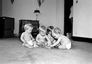 A group of young babies seen here getting into a mess with a chocolate cake at a babies