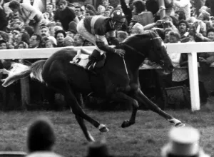 Jockey Prints: Grundy and jockey Pat Eddery winning The Derby at Epsom - June 1975