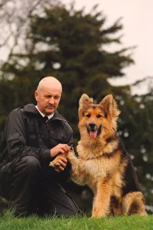 Alsatian Prints: Gun shy police dog Louis with head of the Dog Training Section at Harperley Hall