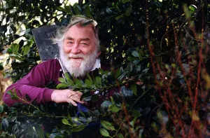 00491 Prints: Gwappeling in the undergwof... botanist and parliamentary candidate David Bellamy