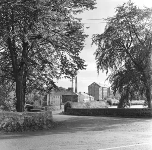 Trees Prints: The Hale Martin spinning mill in the village of Balnamore County Antrim 14th September