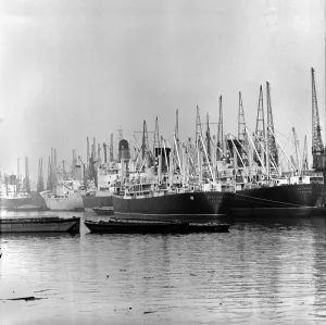 Cranes Prints: Half day Strike at the Docks. Picture shows Idle Ships and Cranes at the Royal Group of