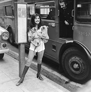 Lions Prints: Hammer horror film actress Madeline Smith holds a couple of five week old lion cubs as
