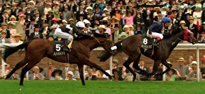 Racehorse Prints: Harbour Master and C Roche Jockey wins the Coventry Stakes at Royal Ascot with Olivier