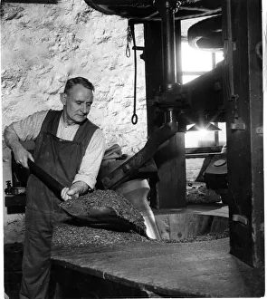 Skills Prints: Harrison Hine at work in a Snuff Mill. 4th April 1949 Local Caption
