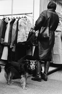 Pets Collection: Harveys Sale, Guildford, Surrey, Tuesday 5th January 1971