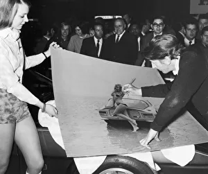 A hastily commissioned artist conceals the female form beneath an ink bikini on the TVR