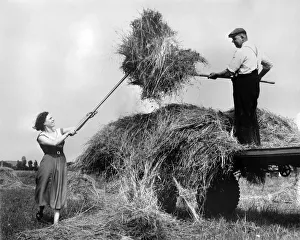 Straw Prints: Hay making in the English countryside during the summer. August 1954