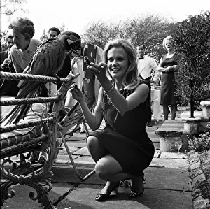 01150 Prints: Hayley Mills celebrates her 21st birthday at her parents home at Richmond Hill, Surrey