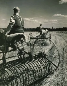 Plough Prints: Haymaking near Birling in Kent in wartime England Farmers Harvesting hay