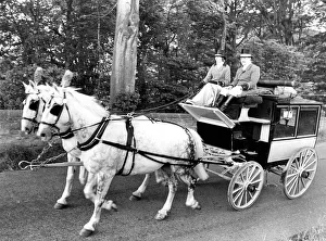 Head coachman, Helen Wrightham donned her top hat and tails to put a pair of greys