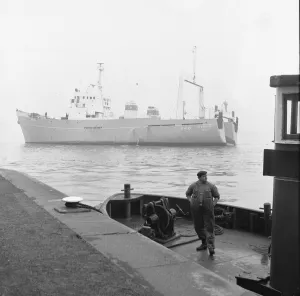 Tugs Prints: The Hellyer Brothers latest trawler Orsino see here leaving Hull for the Icelandic