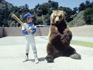Teaching Prints: Hercules the bear is learning about baseball from a young boy in Hollywood May 1983